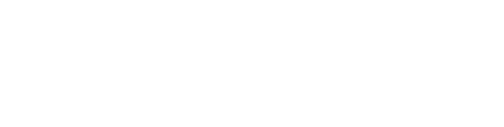 MONEYVIZ