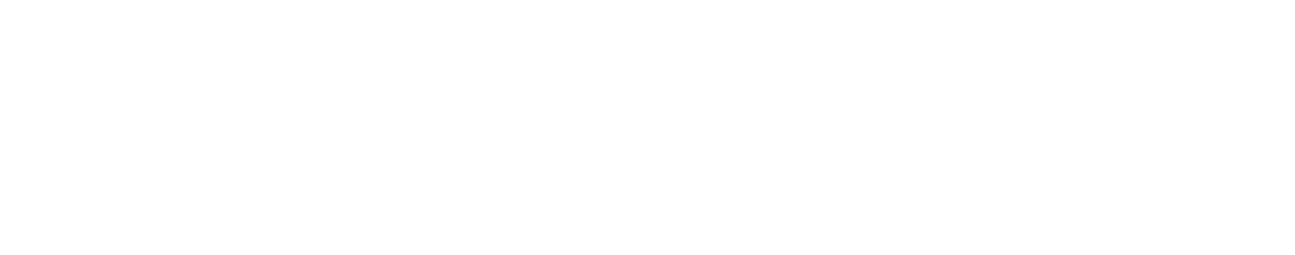 WEISEAIR